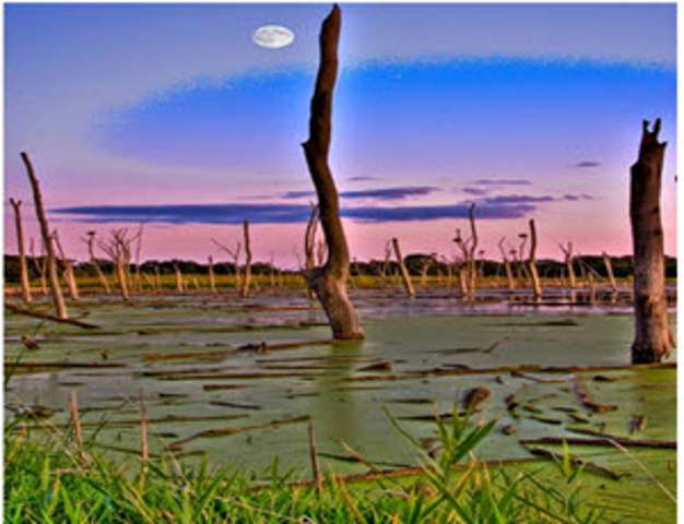 PhotoZAP 5: Bogged Down
